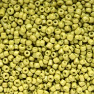Seed beads 11/0 (2mm) Origano green
